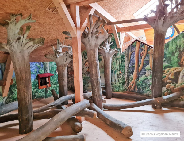 Vogelpark Marlow